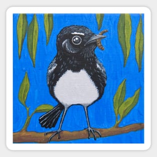 Willywagtail dinner time Sticker